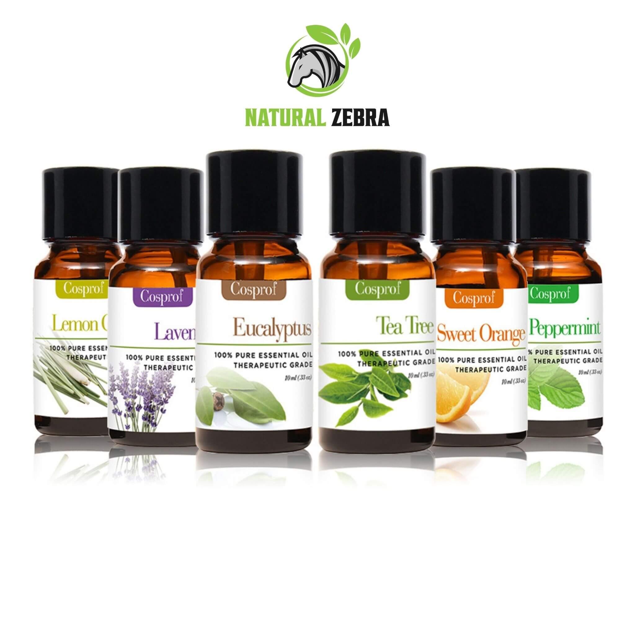 Essential Oils For Aromatherapy (Pack of 6)