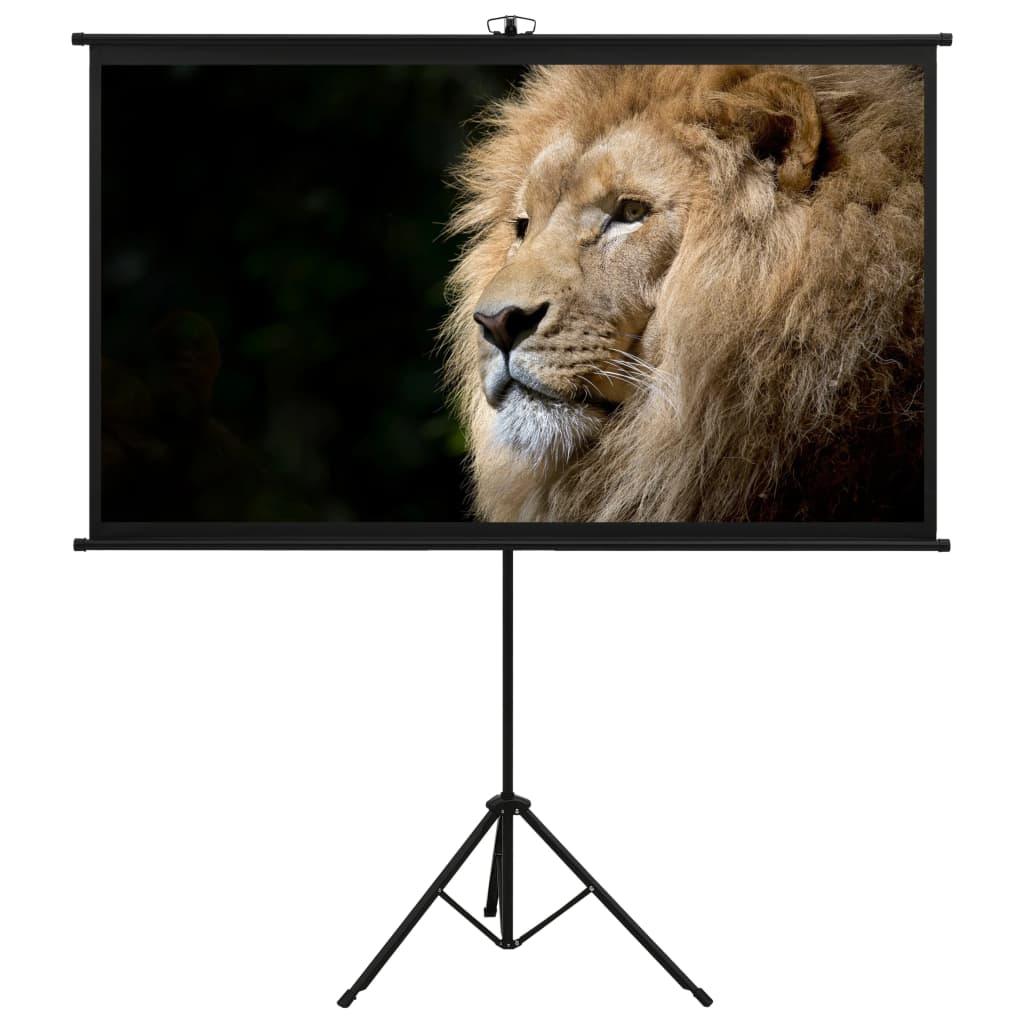 Projection Screen with Tripod 72