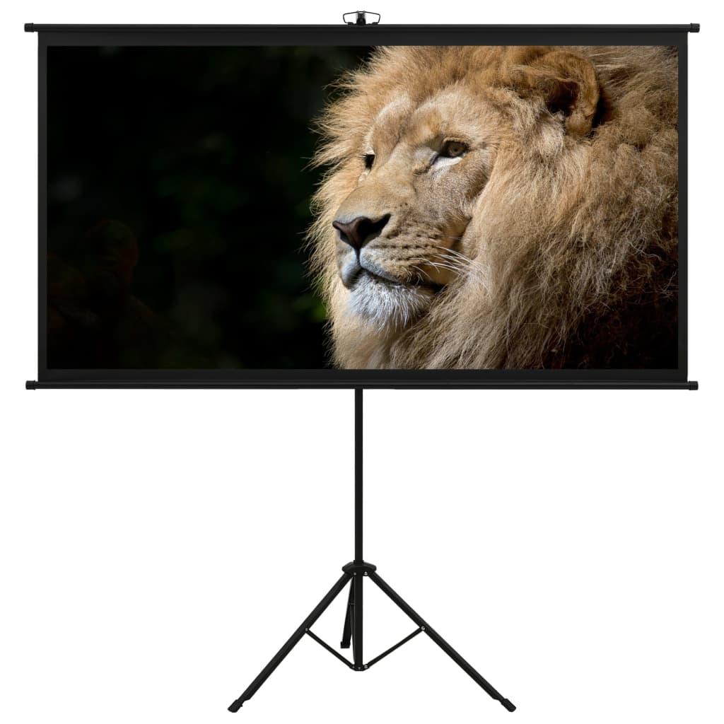Projection Screen with Tripod 108